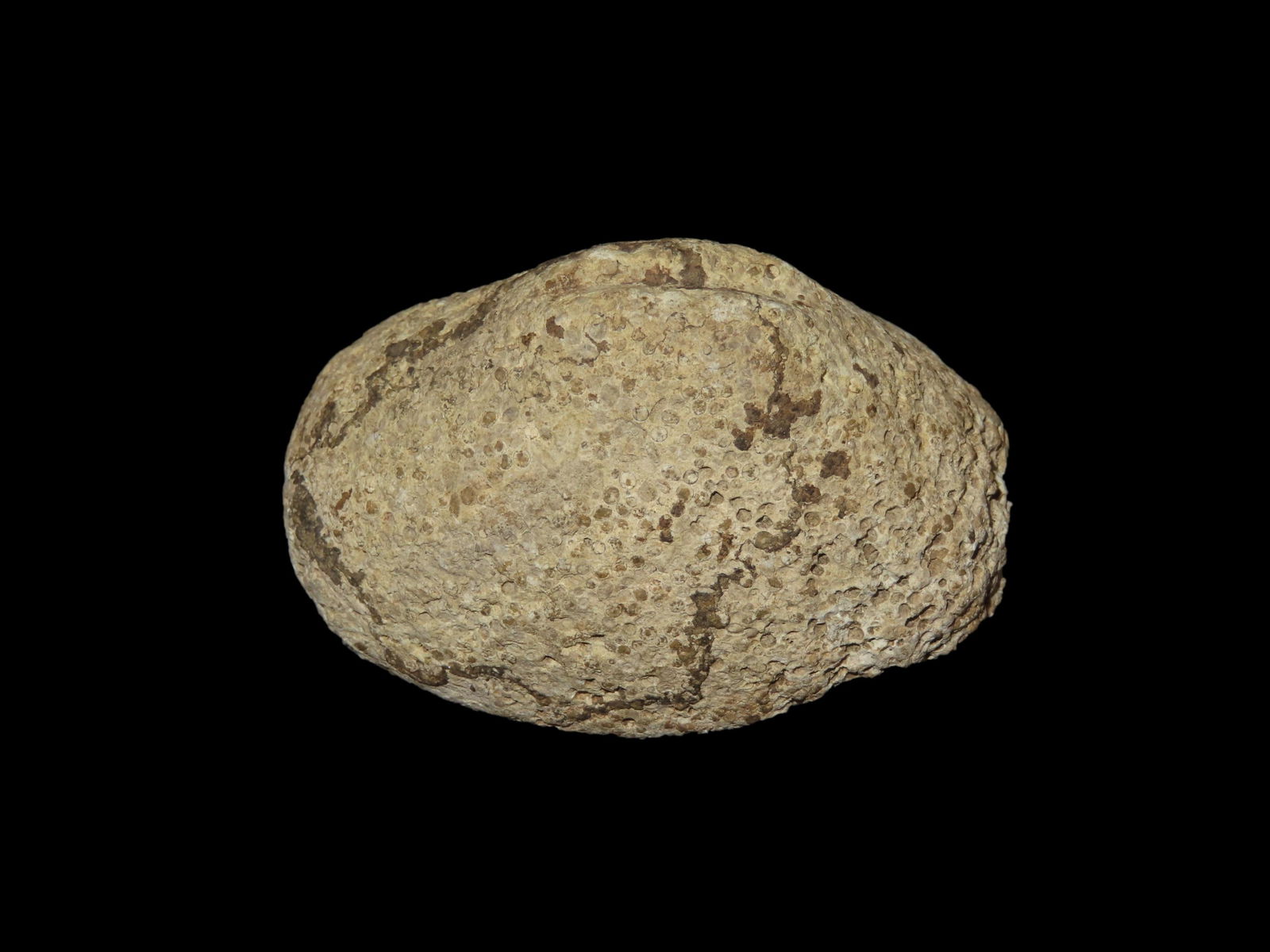 2 3/8'' Loafstone, Bennetts COA,Found In Ohio,Ex Dana Staley (1 of 6)