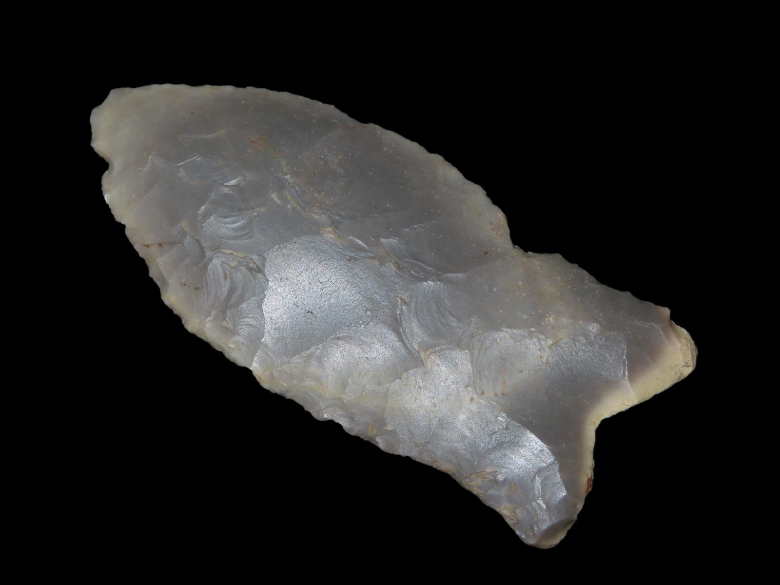 3 7/8'' Paleo Quad,Bennett COA,Found In Kentucky/Indiana ,Ex Dr.Homer Skaggs (1 of 9)