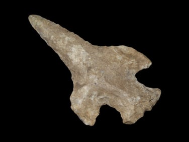 2 5/16" Winged Drill, Tennessee, Restored Tip, Ex. Walt McIntire Collection.