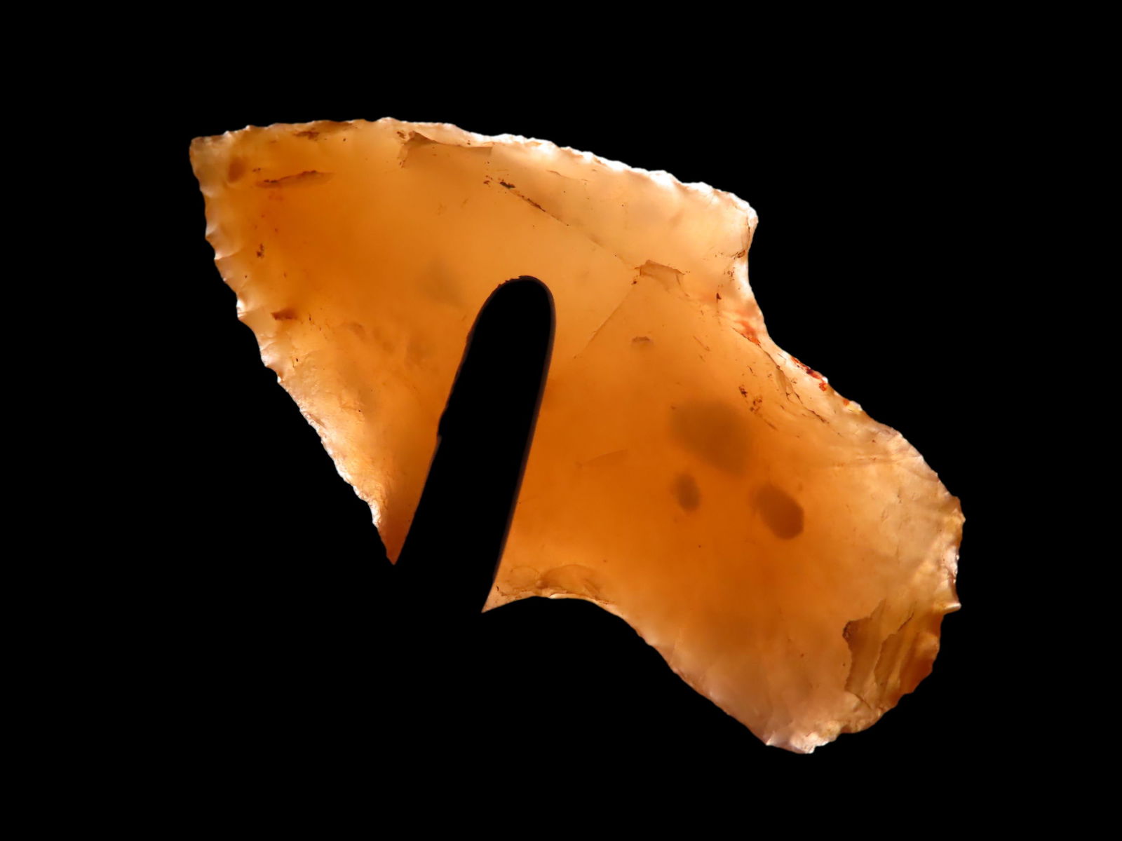 1 7/8" Little Bear Creek, Dickey COA, found in Clark Co., Alabama By Don Harvelle, Ex. Dennis (1 of 10)