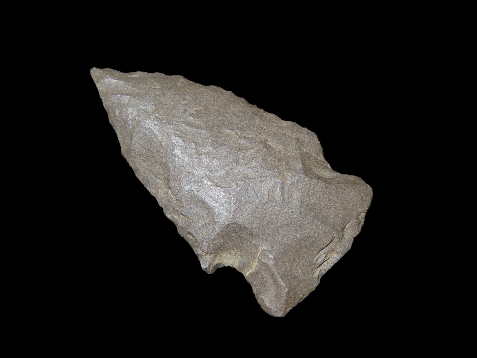 2 1/16" Gibson, Motley,COA, Cedar Co, Missouri, Ex Terry Allen Collection: 2 1/16" Gibson, Motley,COA, Cedar Co, Missouri, Ex Terry Allen Collection