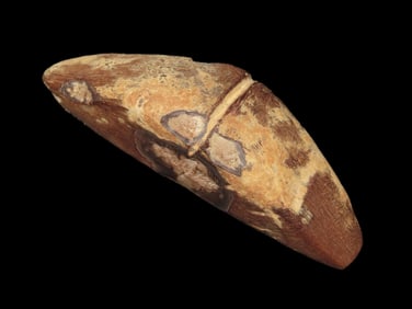 3 7/16" Hematite Tie-on Center Groove Boatstone, found in Miller Co., , Missouri