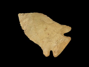 2 1/8" Pine Tree, Fort Payne Chert, found in Sumner Co., , Tennessee