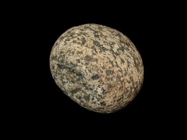 2 1/4" Bannerstone Pre-form, Hardstone, found in Miller Co., , Missouri