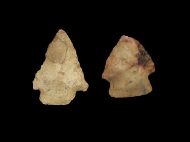 Lot of 2 Arrowheads, found in Homes Co., , Florida