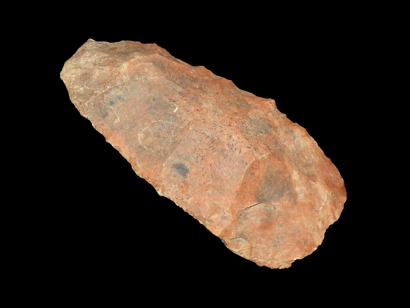 5 1/8" Large Blade, Great Color, found in Bath Co., , Kentucky (1 of 4)