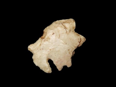 1 9/16" Eccentric Arrowhead