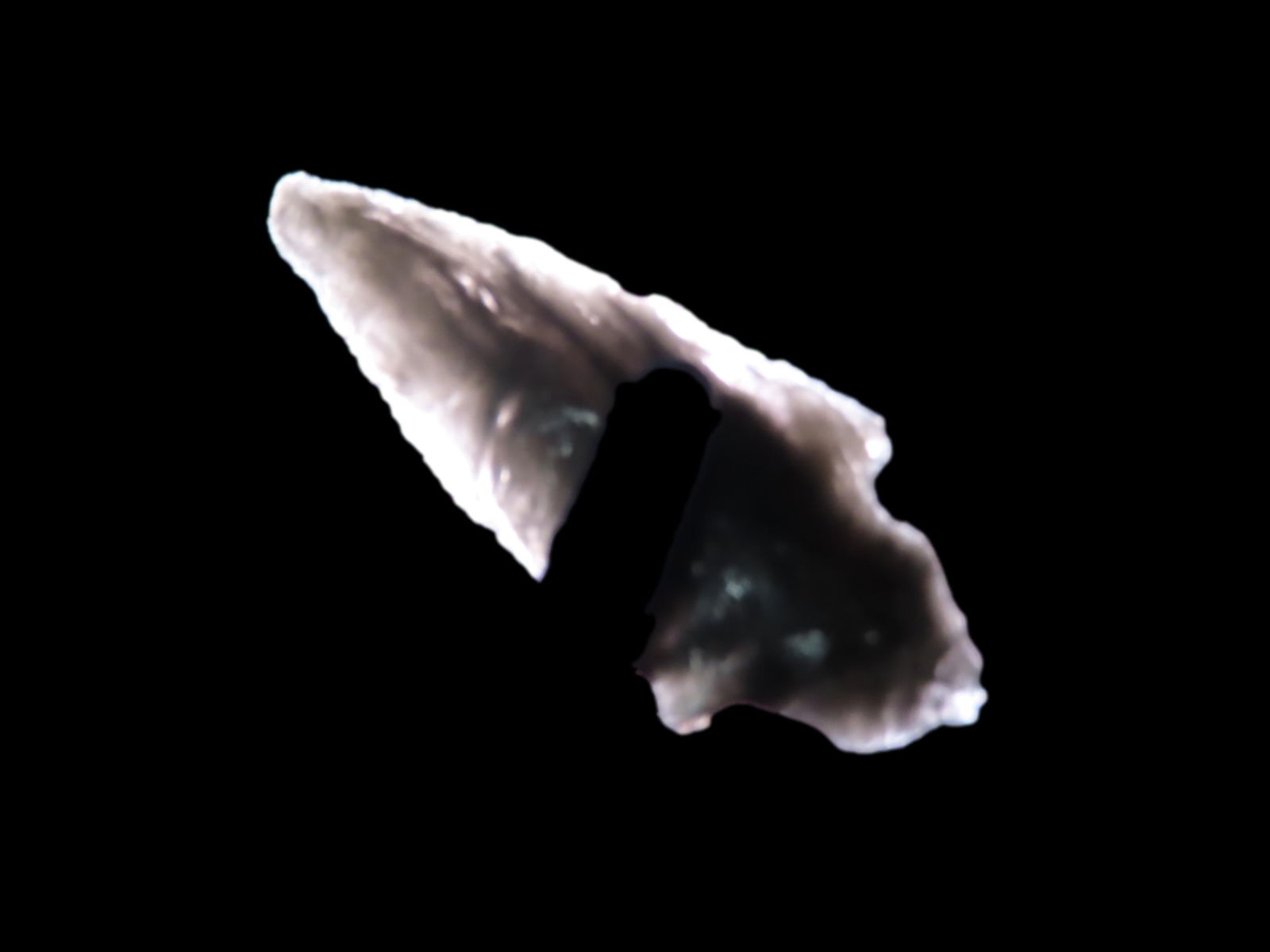 1 7/16" Obsidian Hayes, found in Central Arkansas, Ex Westbrook Collection (1 of 5)