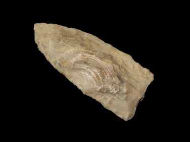 2 5/8" Paleo Lance, found in Central Ohio, Ex Walt McIntire Collection