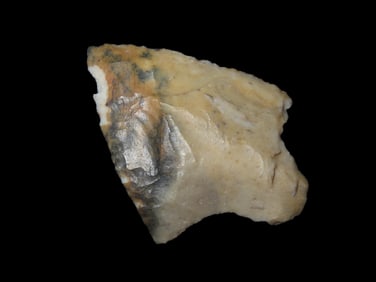 2 1/4" Cottenbridge, edge dings, found in Florida, Ex Walt McIntire