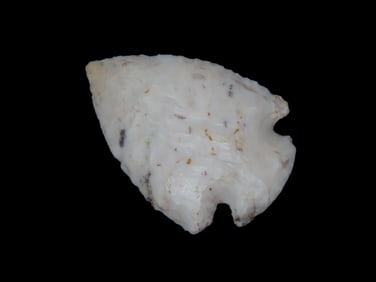 2 1/4" Dovetail, found by Josh Walker 3 miles south of Lomax Illinois in Henderson Co.,