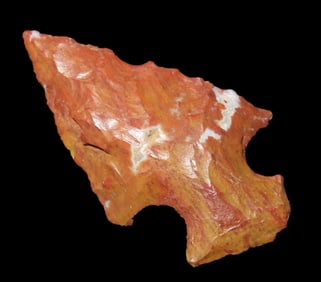 Stunning Petrified Wood Birdpoint, 1 3/16", found in Lake Co., , California