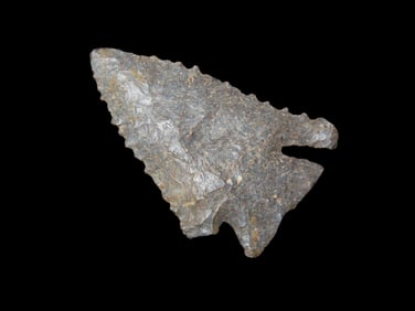 1 3/4" Pine Tree, found in Alabama, Ex Walt McIntire Collection