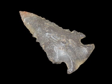2 1/2" Serrated Pine Tree, found in NE Arkansas, Ex Michael Knabe Collection