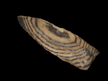 2 1/2" Amazing Material Paleo Lance, High Plains, found in Montana