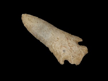 3 5/16" Pine Tree, found in NE Arkansas, Ex Michael Knabe Collection