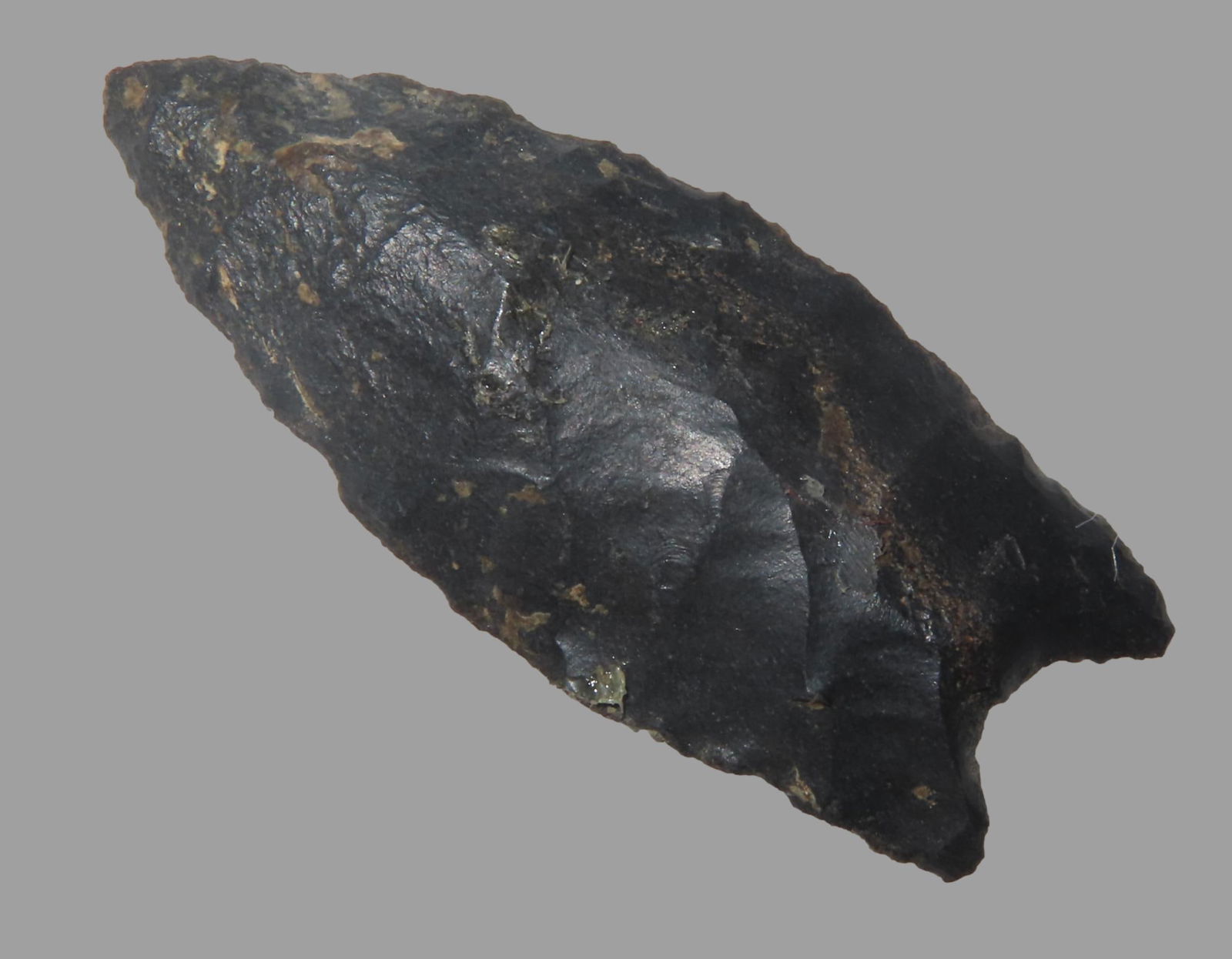 1 3/4" Wheeler, Paleo, Well Made, found in NE Arkansas, Ex Michael Knabe Collection (1 of 4)