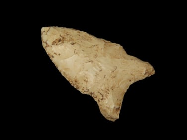 2" Dalton, found in Ralls Co., , Missouri