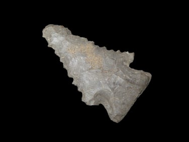 1 3/4" Serrated Pine Tree, ex Michael Knabe, Found in Arkansas