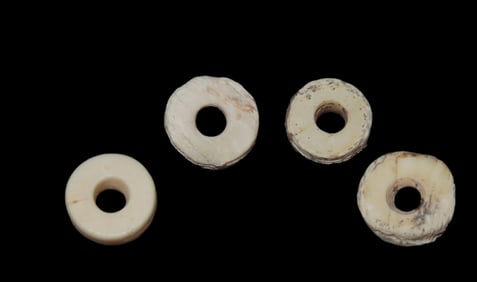 Mandan Shell Beads, Acquired from Jerry Dickey, Found in North Dakota