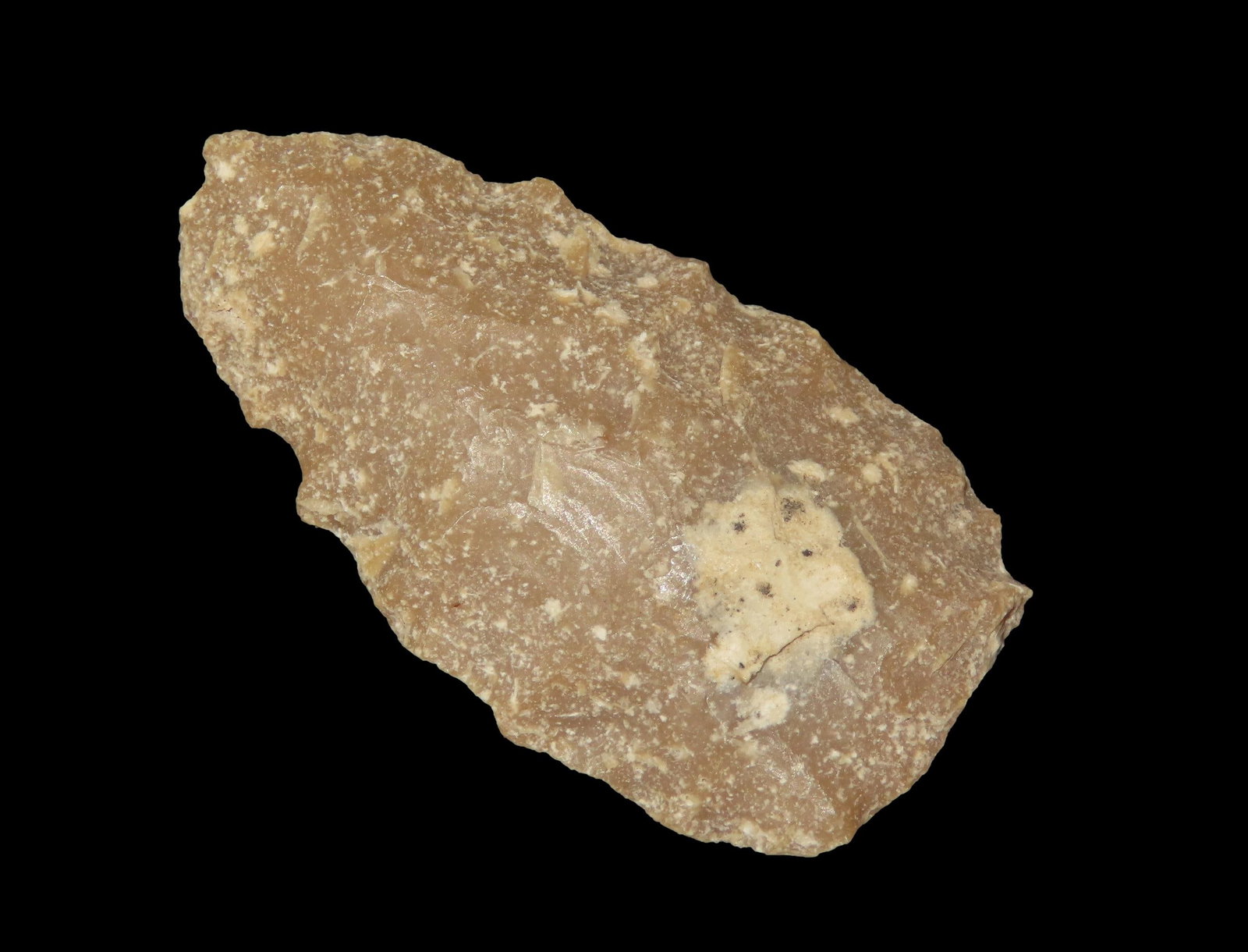 1 5/8" Lancelote, Acquired from Jerry Dickey, Found in North Dakota: 1 5/8" Lancelote, Acquired from Jerry Dickey, Found in North Dakota
