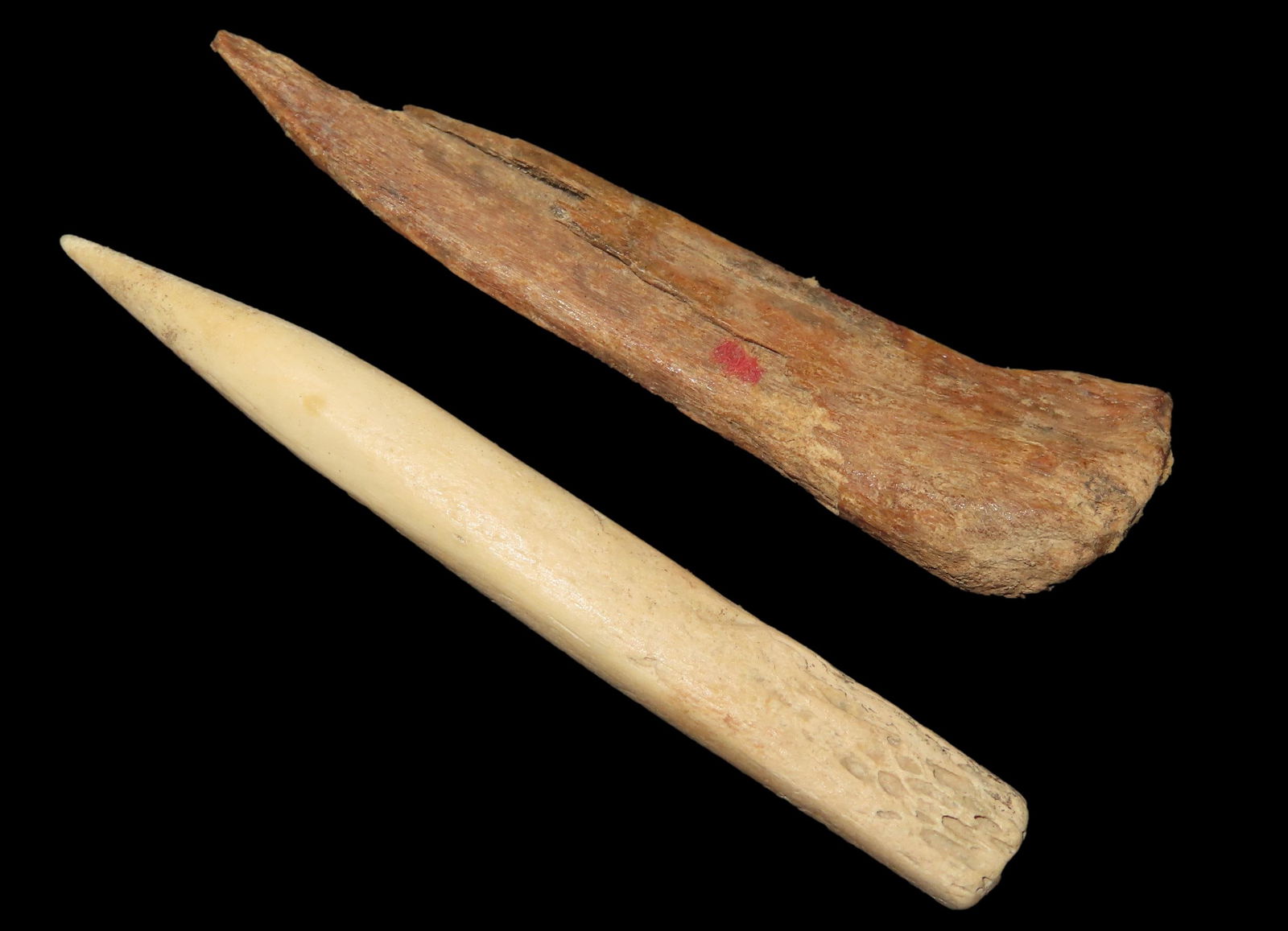 Mandan Bone Awl, Acquired from Jerry Dickey, Found in North Dakota: Mandan Bone Awl, Acquired from Jerry Dickey, Found in North Dakota