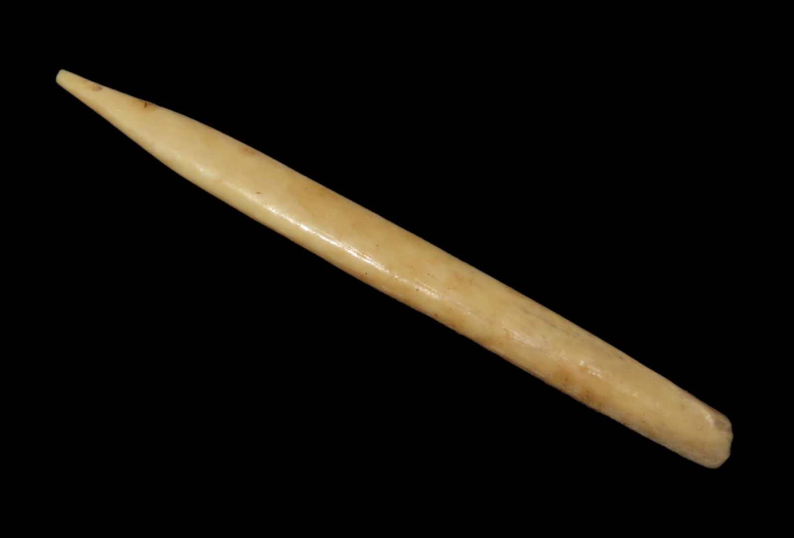 Mandan Bone Awl, Acquired from Jerry Dickey, Found in North Dakota: Mandan Bone Awl, Acquired from Jerry Dickey, Found in North Dakota