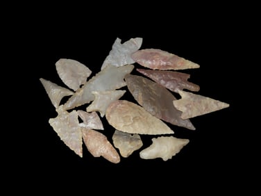 Group Of 15 Arrowheads Saharan Neolithic,Sahara Desert 4000-6000 Years BP