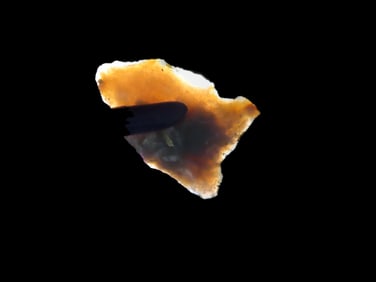1'' Miniature Paleo Arrowhead,Found N.E Arkansas,Ex Michael Knabe
