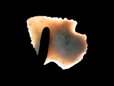 1 3/8'' Novaculite Serrated Point,Found In Arkansas,Ex Michael Knabe