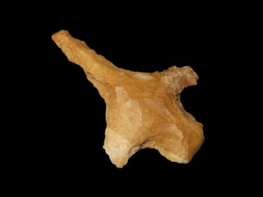 2 3/8'' Hafted Winged Drill,Found In N.E Arkansas,Ex Michael Knabe