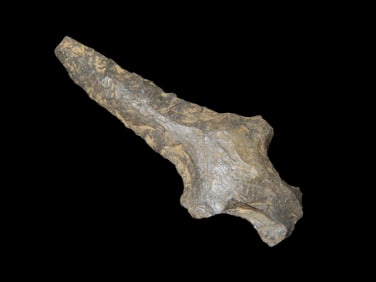 2 1/2'' Drill,Found In N.E Arkansas,Ex Michael Knabe