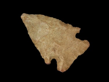 1 3/4'' Pine Tree,Found In N.E Arkansas,Ex Michael Knabe