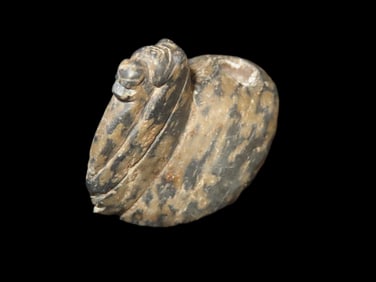 2 5/8'' Highly Detailed Lamma Canopa Colorful Hardstone,Found In Peru South America Pre Columbian