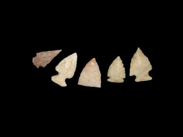 Grouping Of 5 Bird Points,Found In Missouri