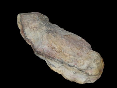 Huge 6 7/8'' Bowling Green,Brown Chert Celt/Axe,Found In Lincoln Co Missouri