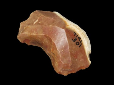 2 3/4'' Flint Axe High Plains,Found In Colorado