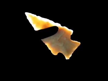 1 3/16'' Translucent Scallorn,Found In Cross Co ARK