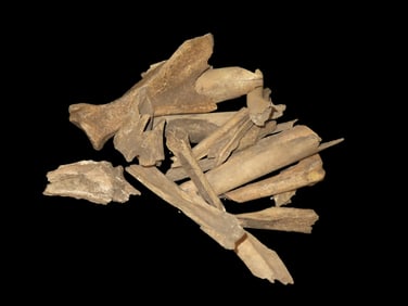 Selection Of Bone,Found In a Trash Pit Hopewell,Found By John Kunkle Brown Illinois