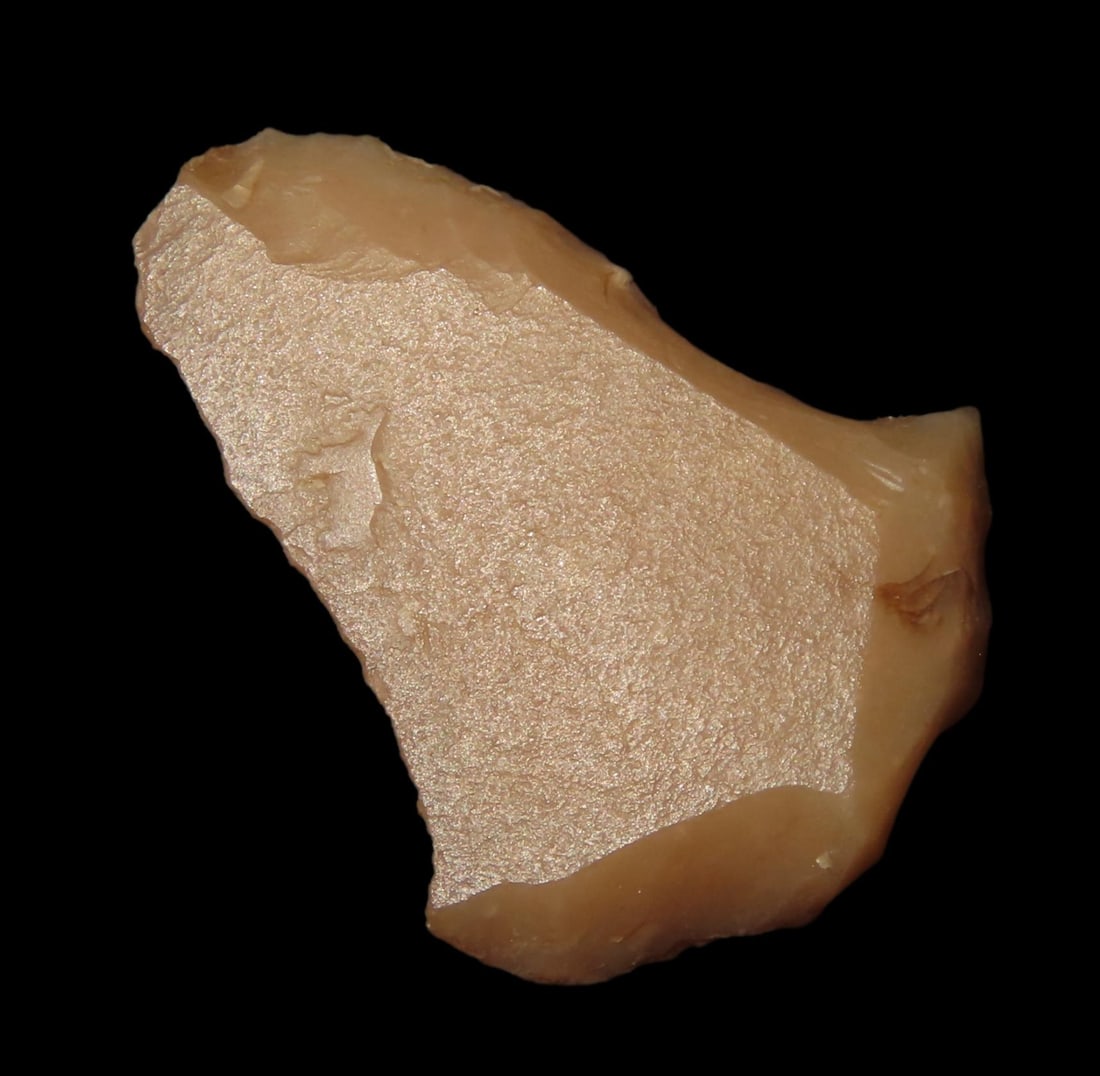 1 1/8'' Paleo Graver Spur,Found In Plymouth NM (1 of 4)