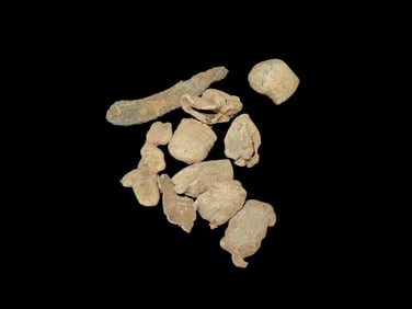 Grouping Of Civil War Metal Detecting Finds Of Boyd Cole,Found In Wayne Co Tennessee