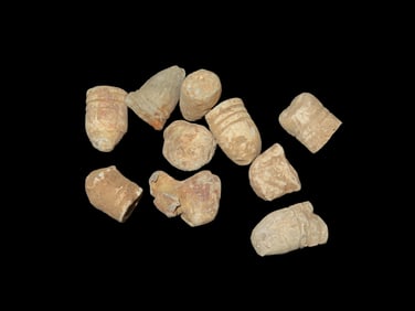 Grouping Of Civil War Metal Detecting Finds Of Boyd Cole,Found In Wayne Co Tennessee