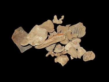 Grouping Of Civil War Metal Detecting Finds Of Boyd Cole,Found In Wayne Co Tennessee