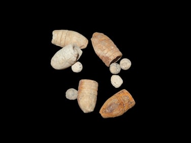 Grouping Of Civil War Metal Detecting Finds Of Boyd Cole,Found In Wayne Co Tennessee