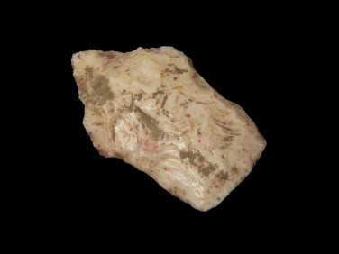 Pike Co. Illinois Square Stem - 1 3/4"