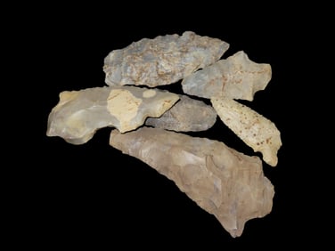 Group of Field Grade Common Pts, found in Illinois