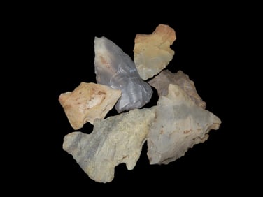 Group of Field Grade Common Pts, found in Illinois
