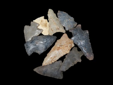 Group of Field Grade Common Pts, Ex John Howze Collection