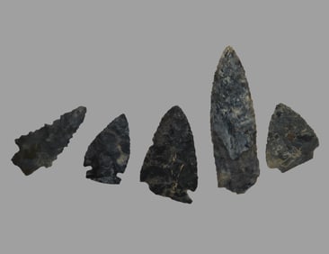 Lot of 5 Common Arrowheads, Ex David Elwell Collection