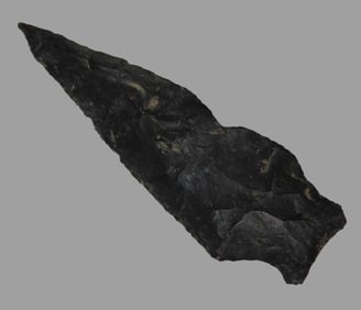 3" Outstanding and Unusual Needle Tipped Rice Shallow Notch, with  Unique Fossil Inclusion,  Ex